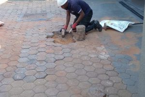 WhatsApp Image 2023-06-29 at 11.21.30 (1)